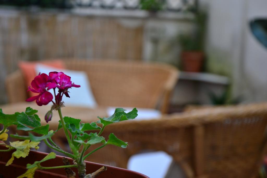 Il Lapino Hotel Palermo Eksteriør billede