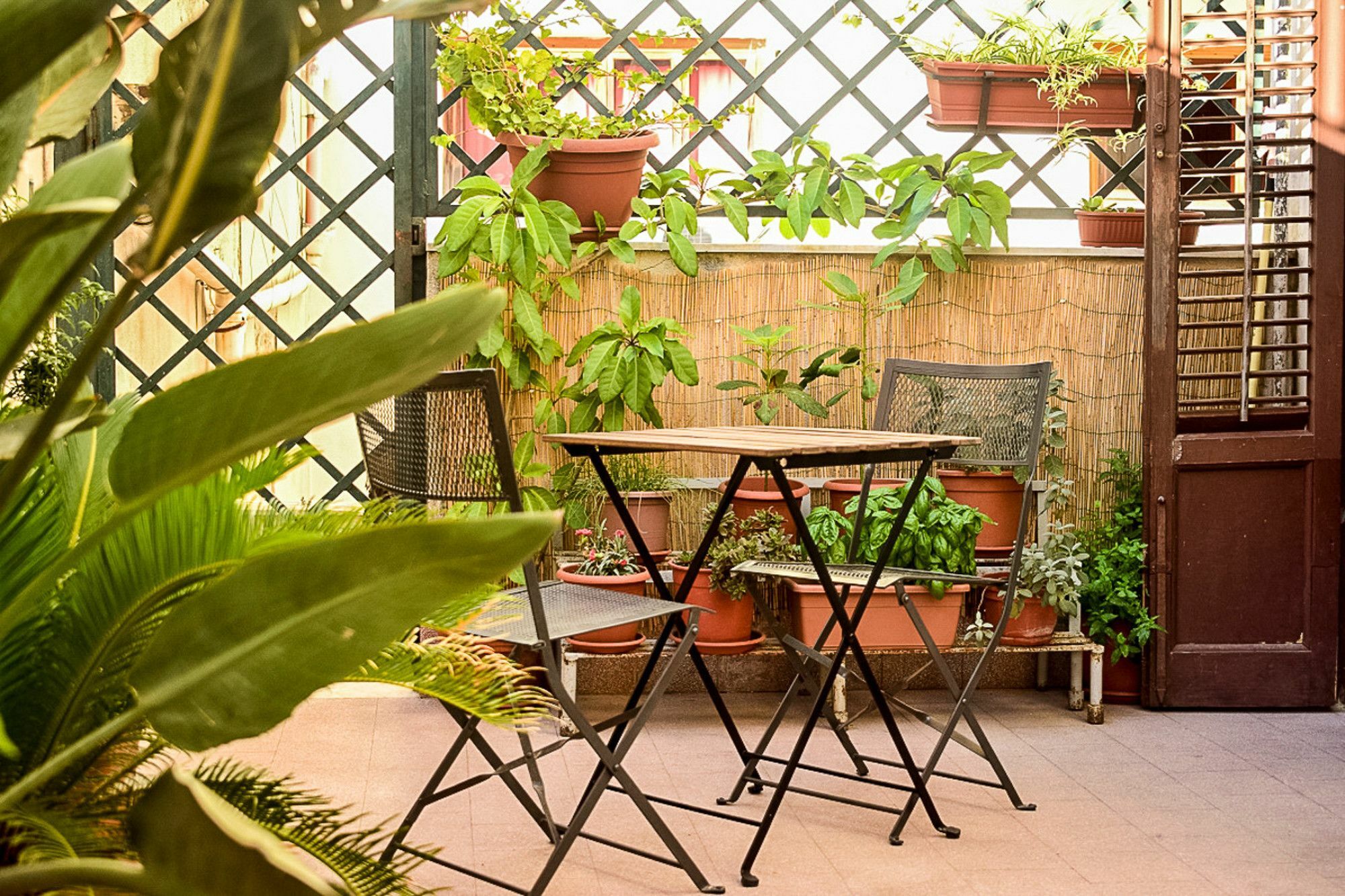 Il Lapino Hotel Palermo Eksteriør billede