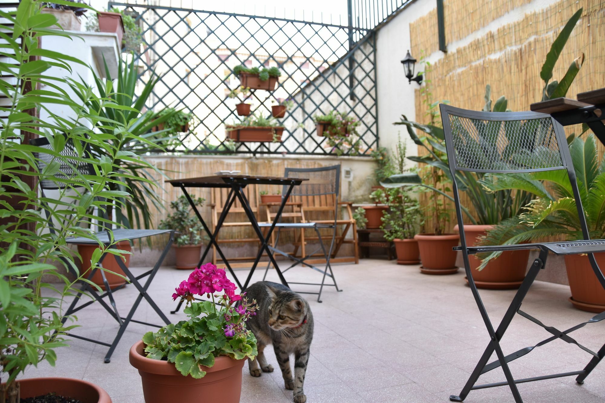 Il Lapino Hotel Palermo Eksteriør billede