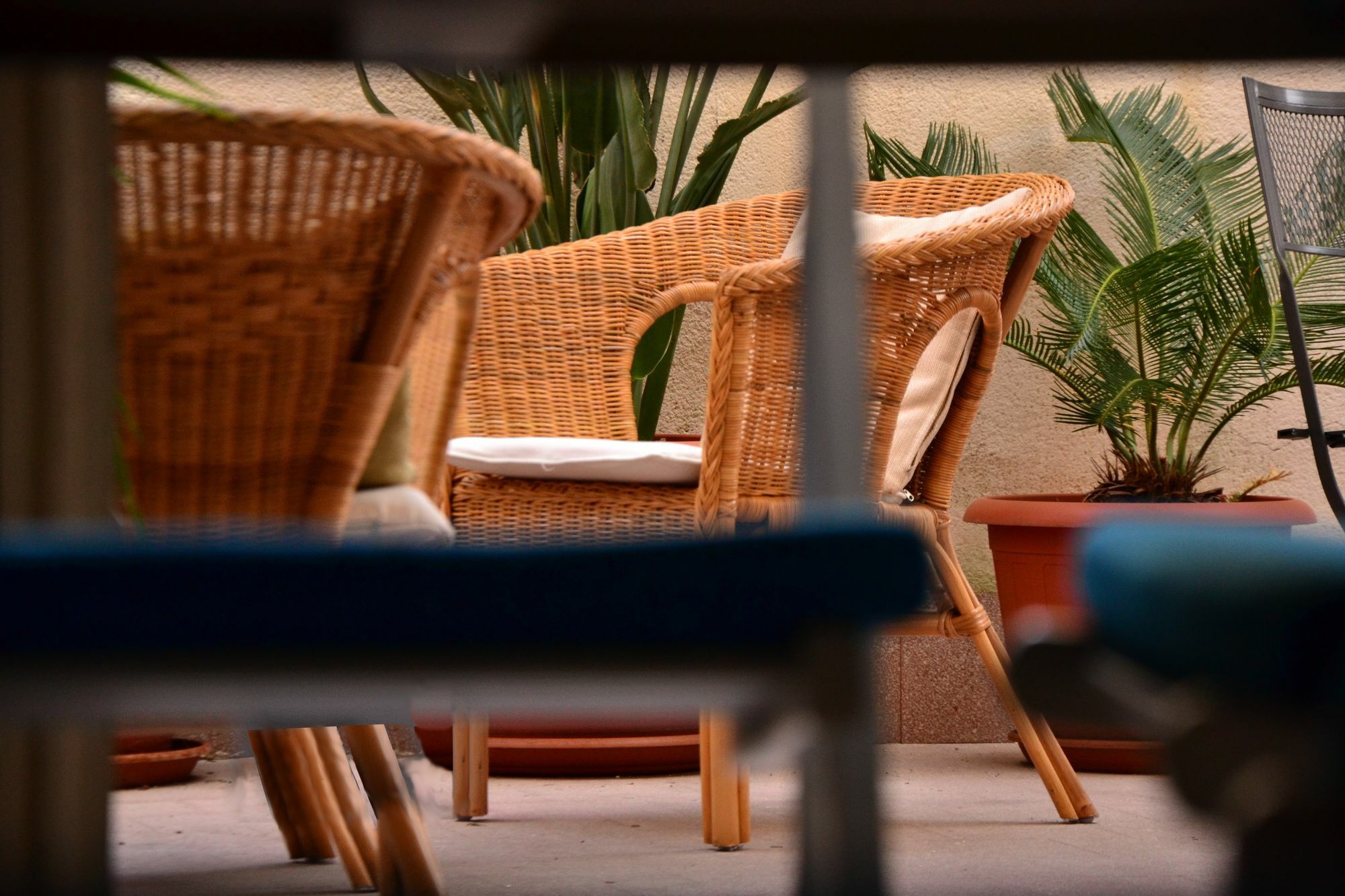 Il Lapino Hotel Palermo Eksteriør billede